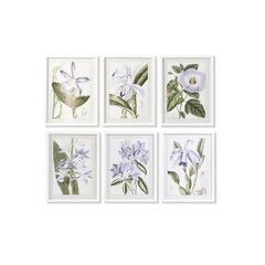 Picture DKD Home Decor Kukat, 40 x 2 x 54 cm, 6 kpl. hinta ja tiedot | Taulut | hobbyhall.fi