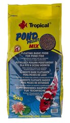 Ruoka kaloille Tropical Pond Pellet Mix, 5kg hinta ja tiedot | Kalanruoka | hobbyhall.fi