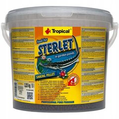 Ruoka kaloille Tropical Food For Sterlet, 5 l hinta ja tiedot | Kalanruoka | hobbyhall.fi