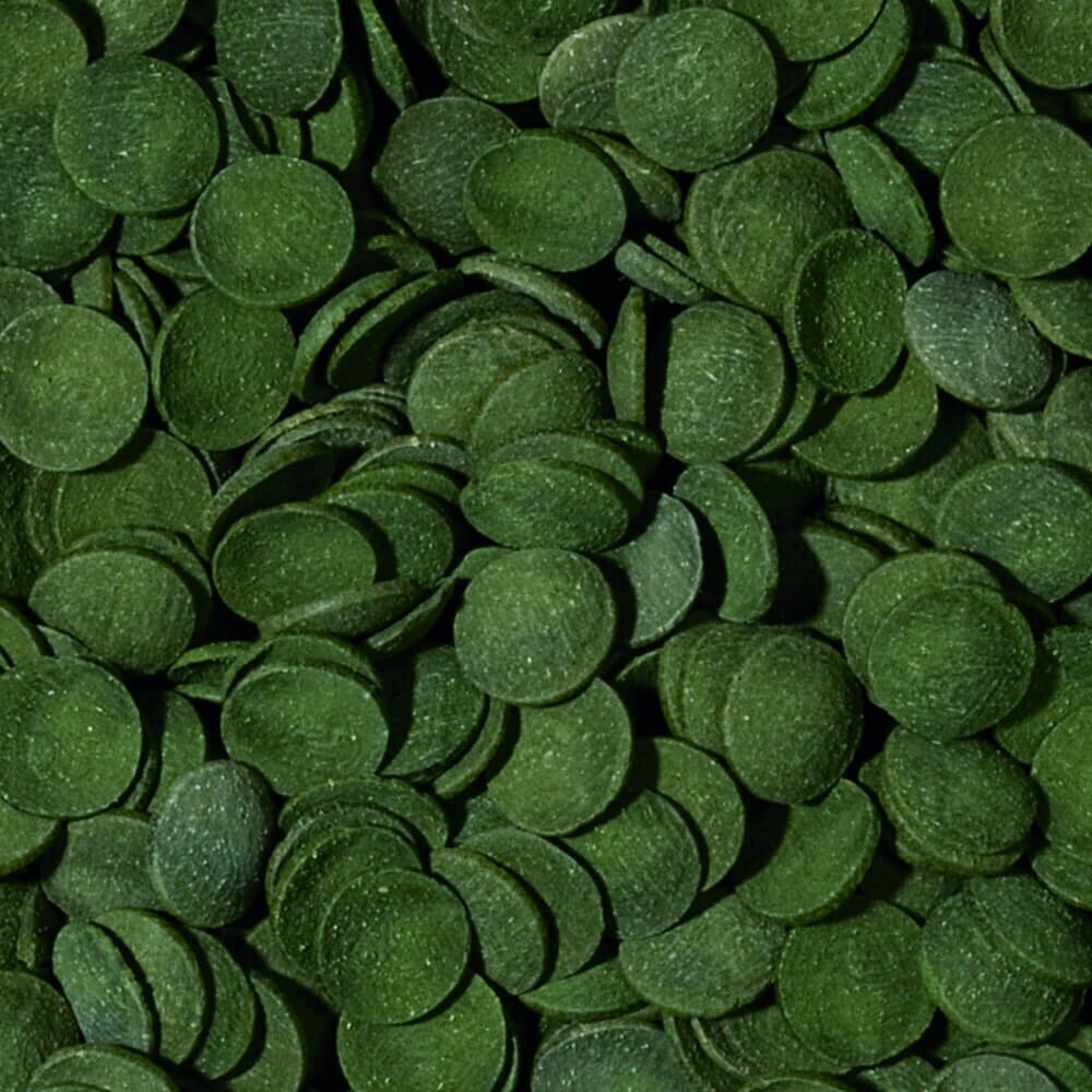 Ruoka kalalle Tropical Green Algae Wafers, 1000 ml hinta ja tiedot | Kalanruoka | hobbyhall.fi