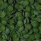 Ruoka kalalle Tropical Green Algae Wafers, 1000 ml hinta ja tiedot | Kalanruoka | hobbyhall.fi