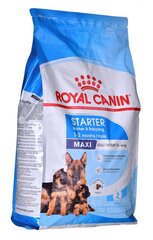 Royal Canin SHN Maxi starter kanalla, 4 kg hinta ja tiedot | Koiran kuivaruoka | hobbyhall.fi