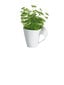 Villeroy & Boch Muki NewWave Caffe 0,3l, 6 kpl hinta ja tiedot | Lasit, mukit ja kannut | hobbyhall.fi