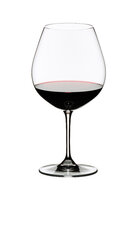 Riedel Vinum Burgundy -lasi, 2 kpl hinta ja tiedot | Lasit, mukit ja kannut | hobbyhall.fi