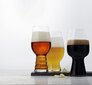 Spiegelau Craft Beer tasting set 3 lasia hinta ja tiedot | Lasit, mukit ja kannut | hobbyhall.fi