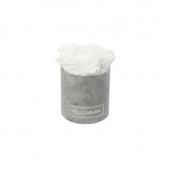 Kestoruusut Blummin – Midi light grey velvet / White hinta ja tiedot | Kestoruusut | hobbyhall.fi