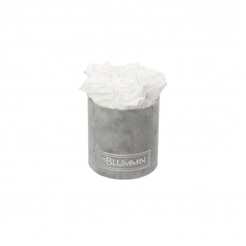 Kestoruusut Blummin – Midi light grey velvet / White hinta ja tiedot | Kestoruusut | hobbyhall.fi