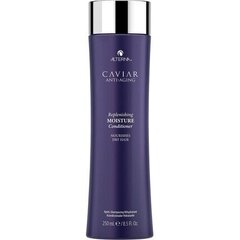 ALTERNA Caviar Replenishing Moisture Conditioner 250 ml hinta ja tiedot | Hoitoaineet | hobbyhall.fi