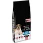 Kuivaruoka koirille Purina Pro Plan Large Robust Adult Sensitive Skin, 14 kg hinta ja tiedot | Koiran kuivaruoka | hobbyhall.fi