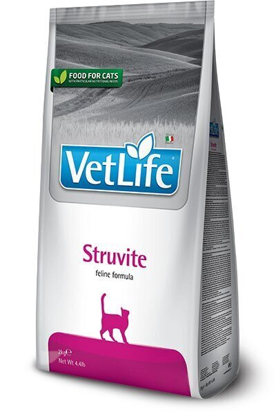 Kuivaruoka aikuisille kissoille Farmina Pet Food STRUVITE FELINE, 2 kg hinta ja tiedot | Kissan kuivaruoka | hobbyhall.fi