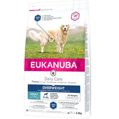 Eukanuba Daily Care Owerveight kana, 12kg hinta ja tiedot | Koiran kuivaruoka | hobbyhall.fi