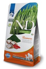 Farmina N&D Spirulina Adult Med/Maxi sillillä, 2 kg hinta ja tiedot | Koiran kuivaruoka | hobbyhall.fi