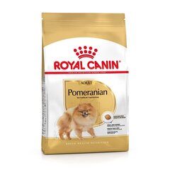 Royal Canin Pomeranian Adult, kana, 3 kg hinta ja tiedot | Koiran kuivaruoka | hobbyhall.fi