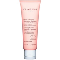 Clarins Gentle Foaming kasvojenpuhdistusvaahto 125 ml hinta ja tiedot | Kasvojen puhdistusaineet | hobbyhall.fi