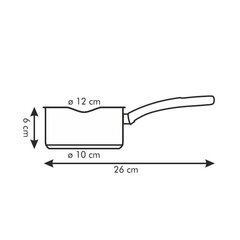 Kaksipisarainen vedenkeitin Tescoma, 12 cm, 0,5 l hinta ja tiedot | Kattilat ja painekattilat | hobbyhall.fi