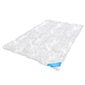 AmeliaHome Floria -peitto 200 x 220 cm hinta ja tiedot | Peitot | hobbyhall.fi