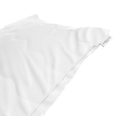 AmeliaHome Reve -tyyny, valkoinen 70x90 hinta ja tiedot | Tyynyt | hobbyhall.fi