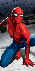 Spderman -pyyhe 70 x 140 cm hinta ja tiedot | Pyyhkeet | hobbyhall.fi