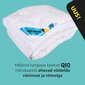 Wendre -Q10 Active peitto, eri kokoja hinta ja tiedot | Peitot | hobbyhall.fi