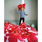 Marimekko Unikko -pussilakana 210 x 210 cm hinta ja tiedot | Pussilakanat ja tyynyliinat | hobbyhall.fi