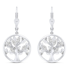 Brilio Silver Suositut hopeiset korvakorut Tree of Life EA311W sBS1595 hinta ja tiedot | Korvakorut | hobbyhall.fi