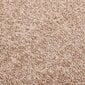 Ovimatto beige 60x80 cm hinta ja tiedot | Ovimatot | hobbyhall.fi