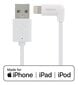 Deltaco IPLH-166, Lightning, USB A, 1m hinta ja tiedot | Puhelinkaapelit | hobbyhall.fi