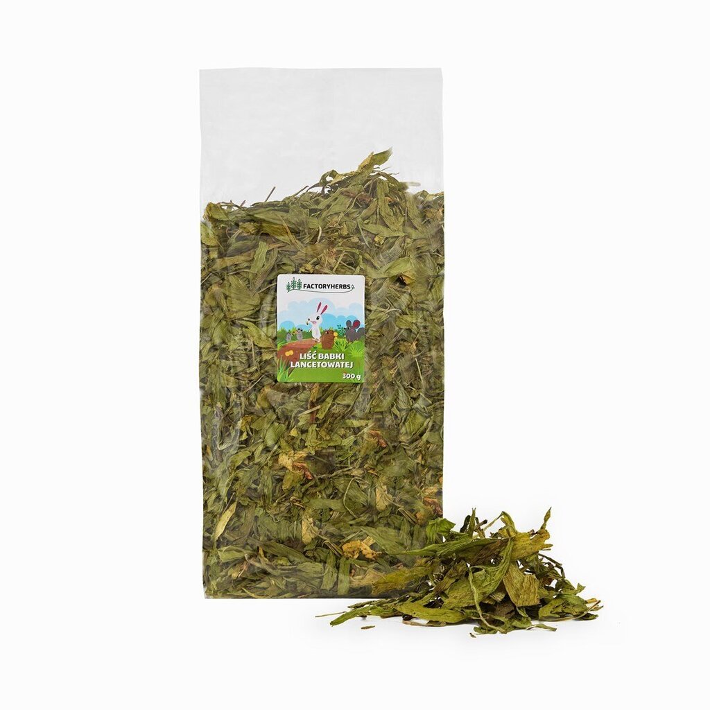 Herkku rotille ja kaneille Factoryherbs Plantain leaf, 300 g hinta ja tiedot | Pieneläinten ruoat | hobbyhall.fi