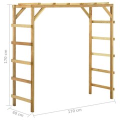 Ulkokiipeilyseinä , 170x60x170 cm hinta ja tiedot | Liukumäet | hobbyhall.fi