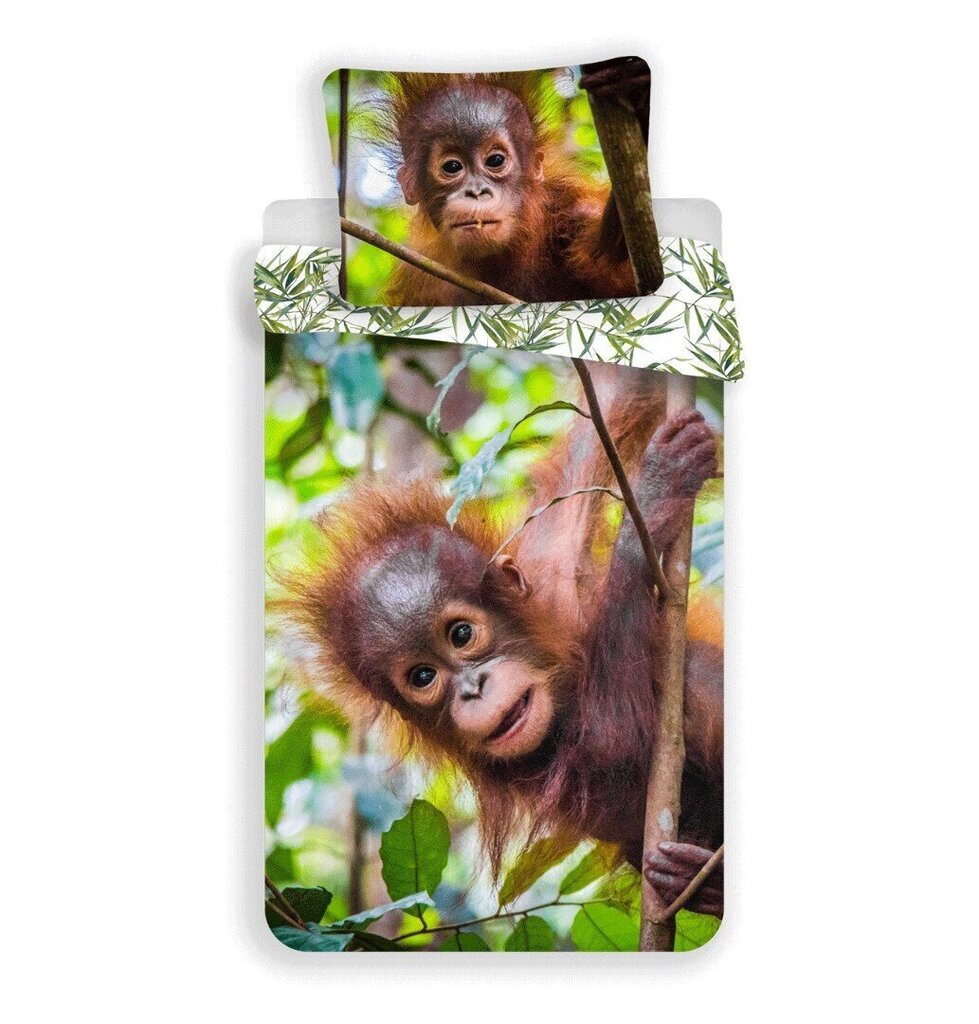 Vuodevaatesetti Orangutan, 140 x 200 cm + tyynyliina 70 x 90 cm. hinta ja tiedot | Pussilakanat | hobbyhall.fi