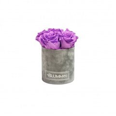 Kestoruusut Blummin – Midi light grey velvet / Violet vain hinta ja tiedot | Kestoruusut | hobbyhall.fi