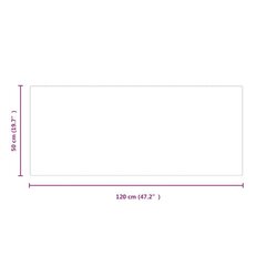 Takan lasilevy suorakaide 120x50 cm hinta ja tiedot | Takka- ja uunitarvikkeet | hobbyhall.fi