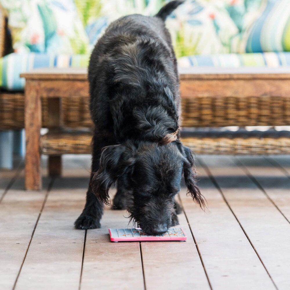 LickiMat Lick Mat Tuff Playdate, punainen hinta ja tiedot | Ruokakupit ja ruokintatarvikkeet | hobbyhall.fi