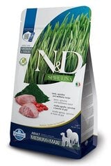 Farmina N&D Spirulina Adult Medium/Maxi lampaanliha, 2 kg. hinta ja tiedot | Koiran kuivaruoka | hobbyhall.fi