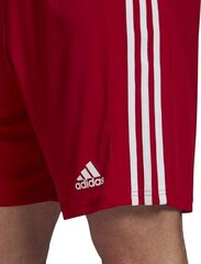 Adidas Squadra 21 -shortsit, punainen hinta ja tiedot | Jalkapallovaatteet ja -varusteet | hobbyhall.fi