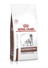 Royal Canin Intestinal Gastro kanalla, 15 kg hinta ja tiedot | Koiran kuivaruoka | hobbyhall.fi