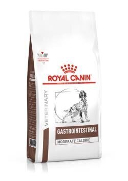 Royal Canin Intestinal Gastro kanalla, 15 kg hinta ja tiedot | Koiran kuivaruoka | hobbyhall.fi