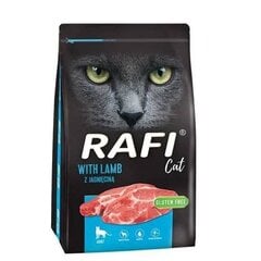 Dolina Noteci Rafi Cat, lammas, 7 kg hinta ja tiedot | Kissan kuivaruoka | hobbyhall.fi