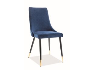 2 tuolin setti Signal Meble Piano, sininen hinta ja tiedot | Ruokapöydän tuolit | hobbyhall.fi