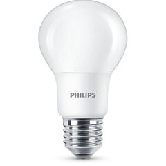 Philips 60W E27, warm white hinta ja tiedot | Lamput | hobbyhall.fi