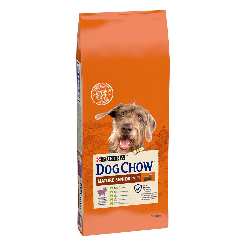 Purina Dog Chow Mature Senior Lamb, 14 kg hinta ja tiedot | Koiran kuivaruoka | hobbyhall.fi