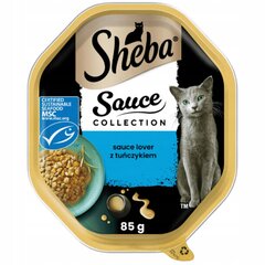 Sheba Sauce Collection täysravinto kissoille tonnikalalla, 85g x 22 hinta ja tiedot | Kissanruoka | hobbyhall.fi