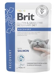 Täysravinto kissoille Brit Veterinary Diet Recovery, 85g hinta ja tiedot | Brit Kissat | hobbyhall.fi