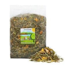 Ruoka jyrsijöille ja kaneille Factoryherbs Wakacje na wsi, 1,5 kg kg hinta ja tiedot | Pieneläinten ruoat | hobbyhall.fi