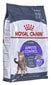 Royal Canin Karma Adult Appetite Control -kuivaruoka, siipikarja, 10 kg hinta ja tiedot | Kissan kuivaruoka | hobbyhall.fi