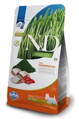 Farmina N&D Spirulina Adult Mini, silakka, 2 kg hinta ja tiedot | Koiran kuivaruoka | hobbyhall.fi