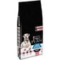 Kuivaruoka koirille Purina ProPlan Adult Large Athletic, 14 kg hinta ja tiedot | Koiran kuivaruoka | hobbyhall.fi