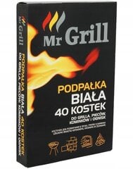 Kuutioitu grilli- ja takkasytyke valkoinen x40 x40 hinta ja tiedot | Grillitarvikkeet ja -välineet | hobbyhall.fi