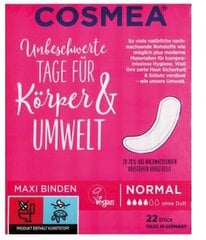 Cosmea, Normaali, Sisäkengät, 22 kpl hinta ja tiedot | Cosmea Hajuvedet ja kosmetiikka | hobbyhall.fi