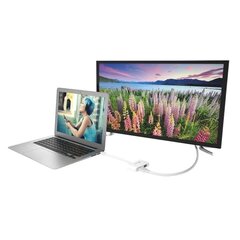 j5luo JDA172 mini DisplayPort™ - HDMI™/VGA-sovitin hinta ja tiedot | Adapterit | hobbyhall.fi